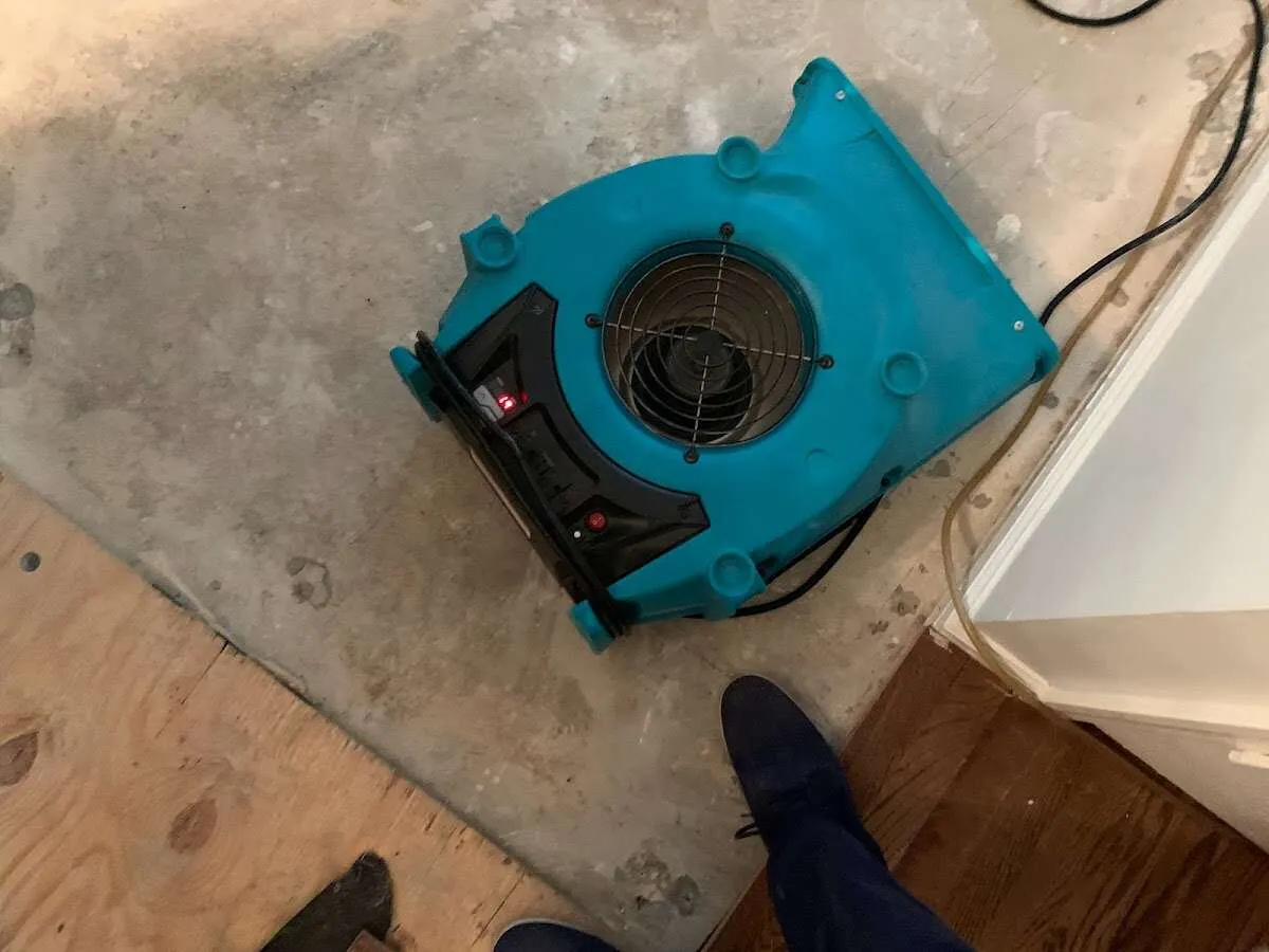 Air mover drying subfloor during Commercial Water Damage Restoration in Catskill